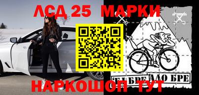 прущие грибы Краснокаменск