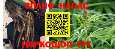 сатива Краснознаменск