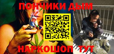 прущие грибы Краснокаменск