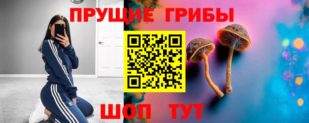 наркотики  Псилоцибиновые грибы мицелий  Вход с VPN  Котельники 